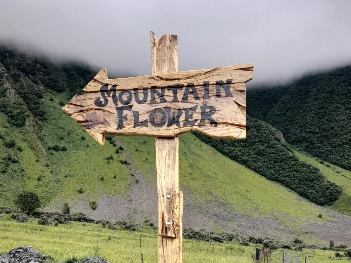 Mountain Flower Cottage Kazbegi Esterno foto