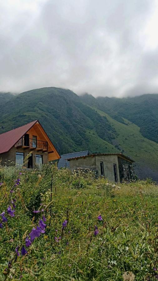 Mountain Flower Cottage Kazbegi Esterno foto